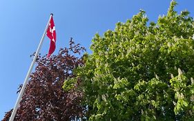 Uforstyrret Og Moderne
